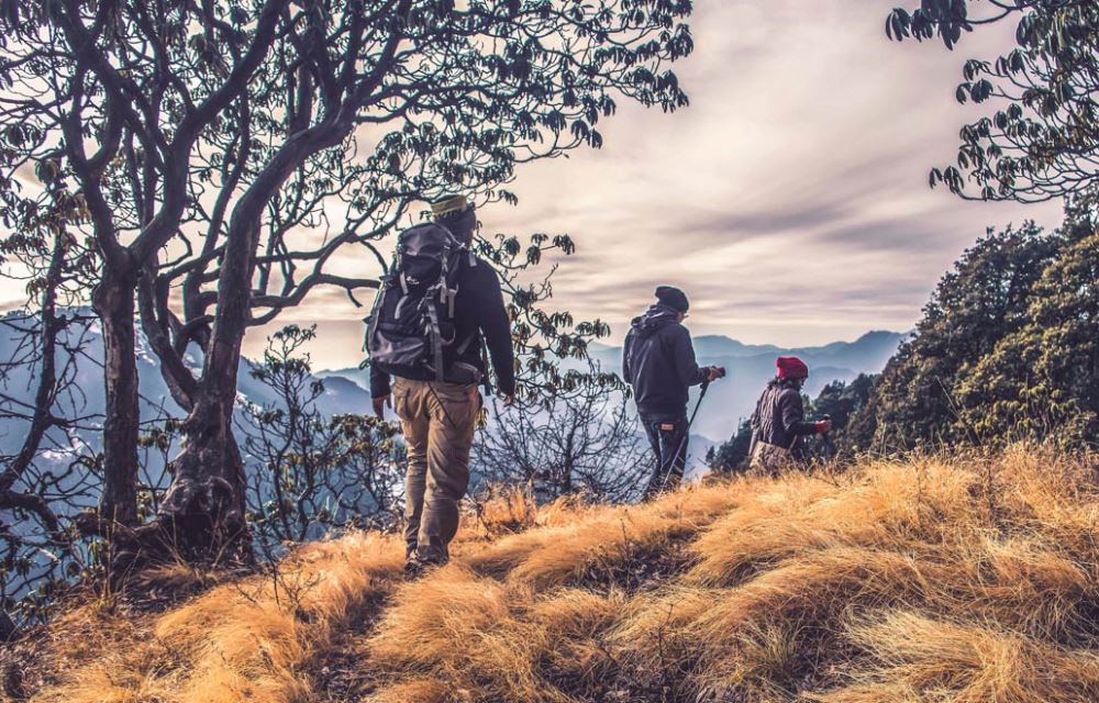PD NAPREDAK - ZAGREB